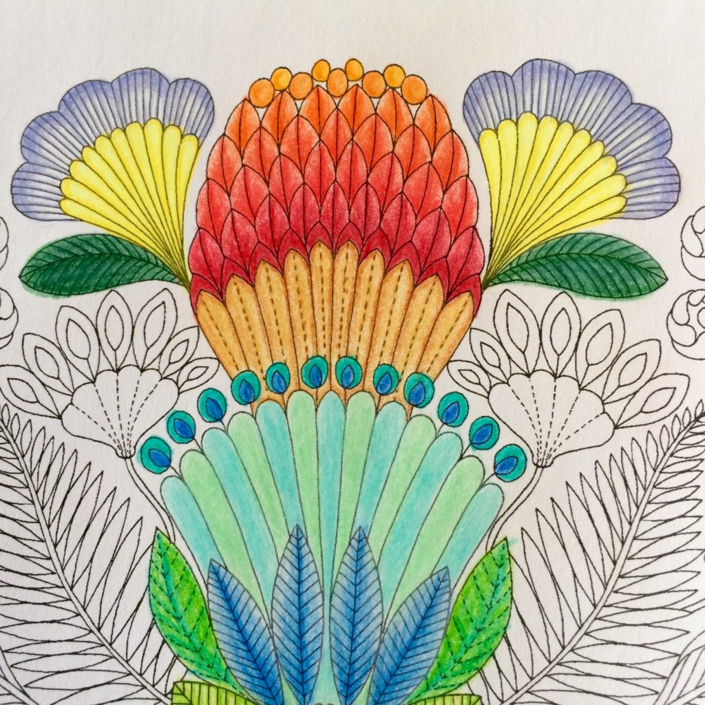 Colouring fun with lots of colours.