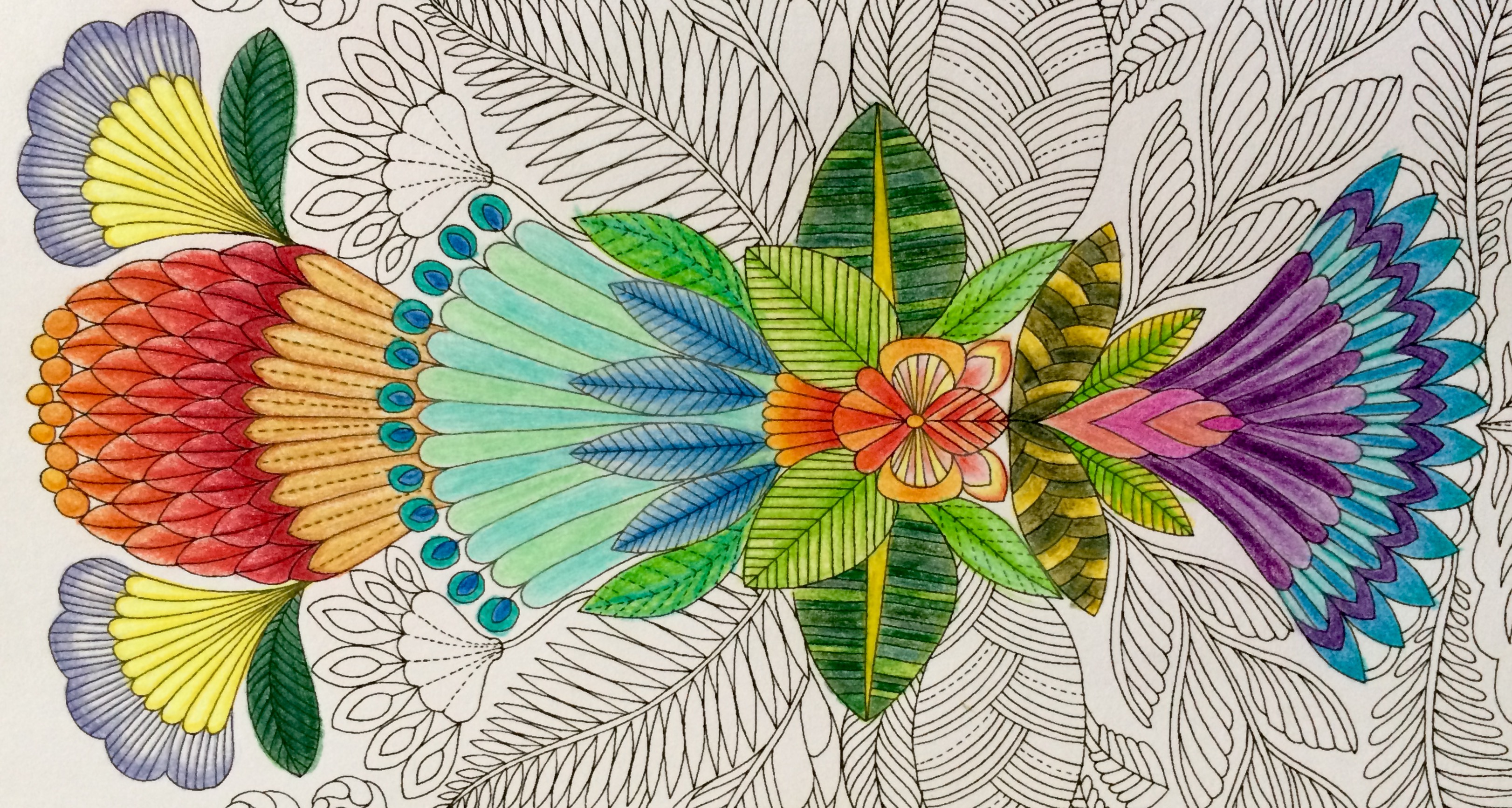 Creative Pastimes – Colouring – Vivid Kreations